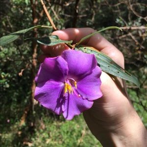 Meet your Posher, Louisa